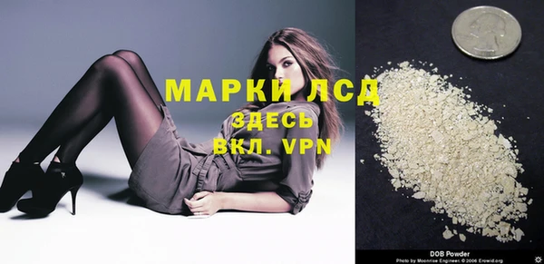 индика Алексин