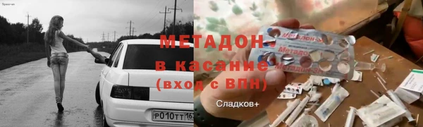 индика Алексин
