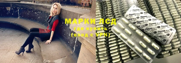 индика Алексин