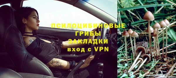 индика Алексин