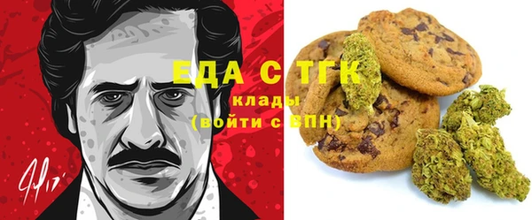индика Алексин